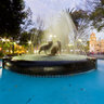 Coyotes Fountain at Coyoacan, Mexico City