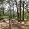 Eco trail at Camp John Hay in Baguio City