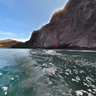 Galapagos - Punta Vicente Roca - Isabela Island