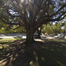 Wellington Square