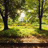 Botanic garden, Kiev, Ukraine