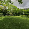 Tropical Parks - Alan L