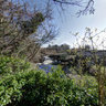 Forss River & Waterfall Viewpoint , Caithness , Scotland
