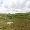 Texel emptiness