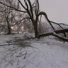 Freezing Rain