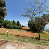 Kerio View