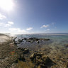 Low Tide