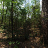 Memorial Park Trails