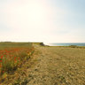 Falaises de Longues sur Mer - Vue2