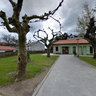 Parque de Tomiño