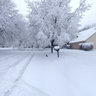 Snow Day View