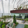 Gardens By The Bay - Singapore
