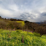 Mather Farm in Spring 2012