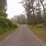 Camp Site in Sandbanks Provincial Park