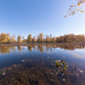Petrie Island