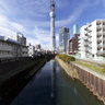 Tokyo Sky Tree under construction 539/634m