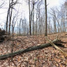 Flint Ridge Memorial  State Park, Licking County Ohio