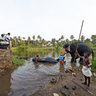 Arattupuzha Pooram, Karuvannur River Bathing Elephants