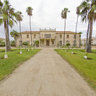 Palm Tree Park