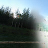 Forest Pitch
