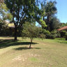 Our own private park