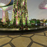Supertree Grove, Gardens by the Bay, Singapore