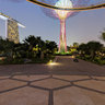 Supertree Grove, Gardens by the Bay, Singapore