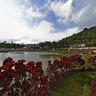 Viçosa do Ceará