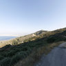 rodia - sabathiana