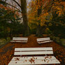 Rombergpark Lake Autumn