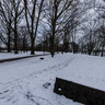 Rheinaue Winter landscape