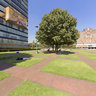 Panoramic view at CU, UNAM, Mexico DF