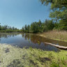 Black River (Irdynsky bog) 2