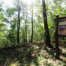 Eagles Rock map at Orlovac, Fruska Gora National Park