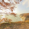 Kreidefelsen