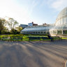 Botanic Garden #1