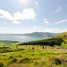 Kilbroney Park Walk #11, Rostrevor, Northern Ireland