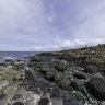 Giant's Causeway, Northern Ireland #02