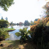Sheffield Park - Ten-Foot Pond from the East side.