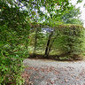 Rogalin - Palace Park #2