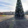 Main Tree of Kherson