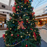 Xmas tree on FABRIKA