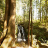 Twin Falls, Day Rd. Forest