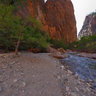Zion beach, South of the narrows