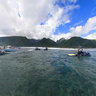 Billabong Pro 2008 Final series