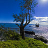 Rocky Point Surf Spot