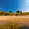 Tiny Desert Beach