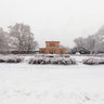 Lužánky in Winter
