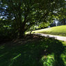 Clyne Gardens, Japanese Pond
