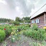 Russian village